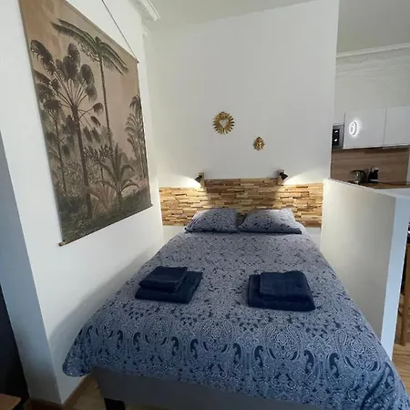 L'escale Avec Parking Prive * Arras